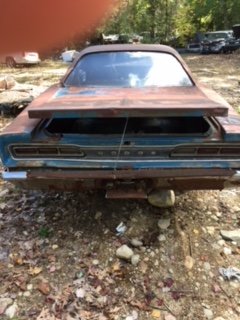 62AC3EB5-2EAD-48D3-B342-84C3E32F10C1.jpeg 62AC3EB5-2EAD-48D3-B342-84C3E32F10C1.jpeg