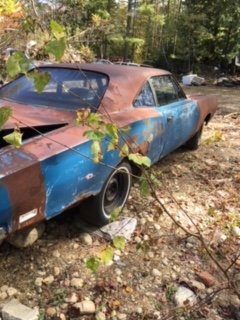 F85D8448-07DE-49E8-B257-E0167E598158.jpeg F85D8448-07DE-49E8-B257-E0167E598158.jpeg