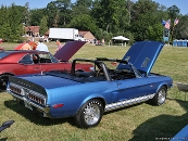 shelby roll bar792997small.jpg