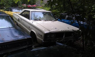 IMAG0624 (Small).jpg