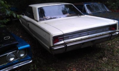 IMAG0620 (Small).jpg