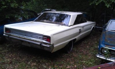 IMAG0619 (Small).jpg