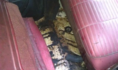 IMAG0626 (Small).jpg