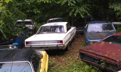 IMAG0633 (Small).jpg