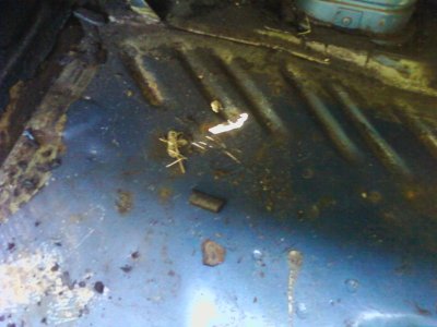 0612121934a.jpg 0612121934a.jpg