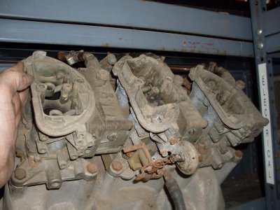SDC10219.jpg