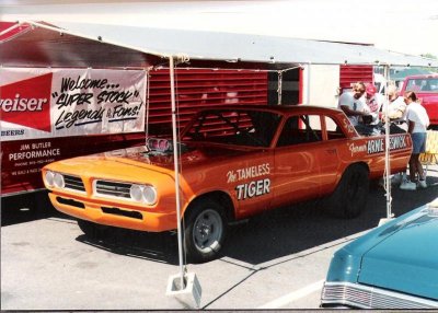 RandomCars 004.jpg