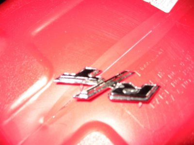 IMG_2397 (Large).jpg