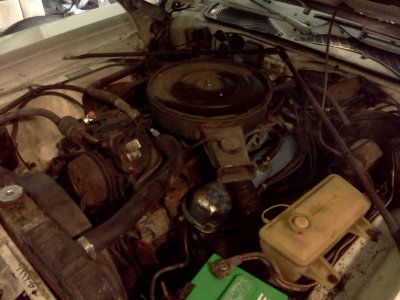 IMG_20120623_114108 [800x600].jpg