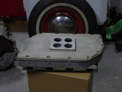 rat 008.JPG rat 008.JPG