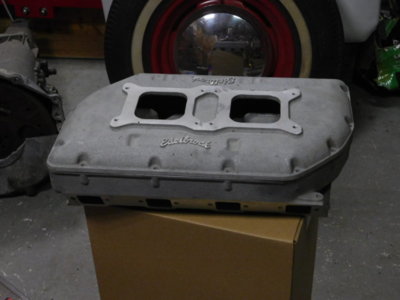 rat 009.JPG rat 009.JPG