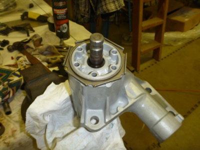 beerestoration2015-2016 2186.JPG