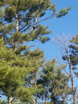 20180516_092414.jpg