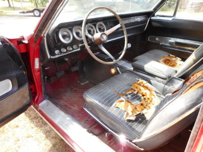 DSCN2671.JPG DSCN2671.JPG