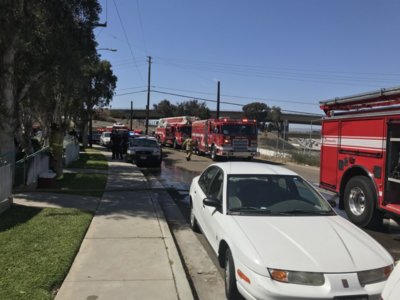 5913074B-CEE0-483E-8B08-91D9DBAE99A1.jpeg 5913074B-CEE0-483E-8B08-91D9DBAE99A1.jpeg