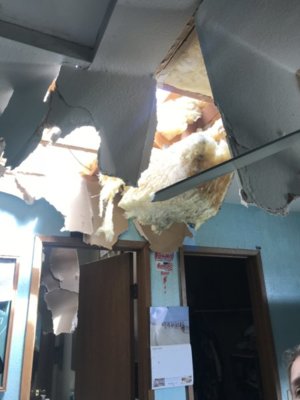 6CDA120C-63A9-48A4-9BDD-64B6C01055B6.jpeg 6CDA120C-63A9-48A4-9BDD-64B6C01055B6.jpeg