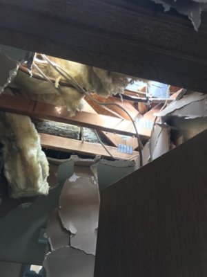 B831E2F6-D9CE-4BCB-A510-647F083D59DA.jpeg B831E2F6-D9CE-4BCB-A510-647F083D59DA.jpeg