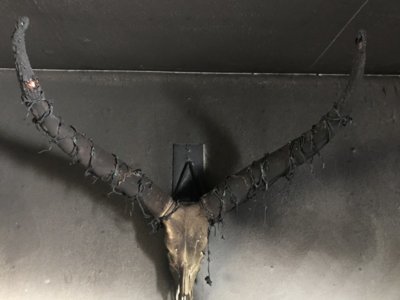 9482F816-09C0-4BB0-A7C4-16B68E18980A.jpeg 9482F816-09C0-4BB0-A7C4-16B68E18980A.jpeg