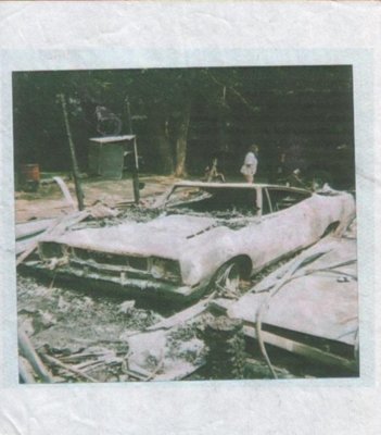 burned 300 & runner.jpg burned 300 & runner.jpg