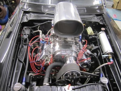 3.29.13 012.jpg 3.29.13 012.jpg