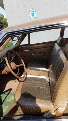 69 Belvedere (10).jpg