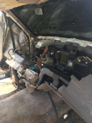 2DC27D82-A3AE-41AD-A351-E111F49557B8.jpeg 2DC27D82-A3AE-41AD-A351-E111F49557B8.jpeg