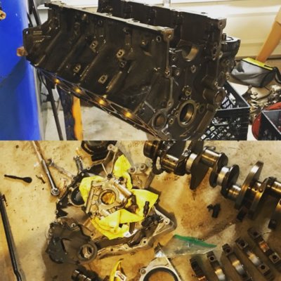 19826730-0099-46C2-9E88-EE0ACB85D1AF.jpeg 19826730-0099-46C2-9E88-EE0ACB85D1AF.jpeg