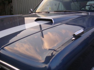 DSCN0917.JPG