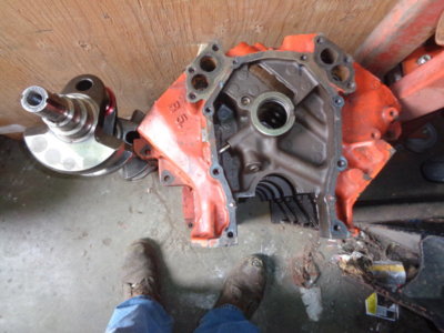 DSC00728.JPG DSC00728.JPG