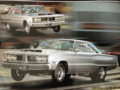 IMG_6381.JPG IMG_6381.JPG