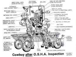 Osha cowboy.jpg