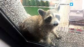 th?id=OIF.KCsNOyMTmRphHdFvUxPqCA&pid=15.jpg