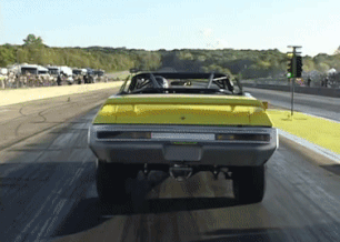 tumblr_pa76o1JWPX1vfi66so1_400.gif