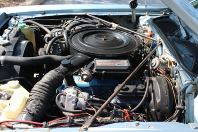 IMG_1014.JPG IMG_1014.JPG