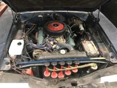 276CF5C4-3C4C-4F49-A44F-6D8CBFF51A40.jpeg 276CF5C4-3C4C-4F49-A44F-6D8CBFF51A40.jpeg