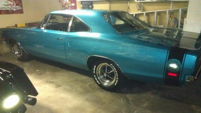 IMAG0083 (Medium).jpg