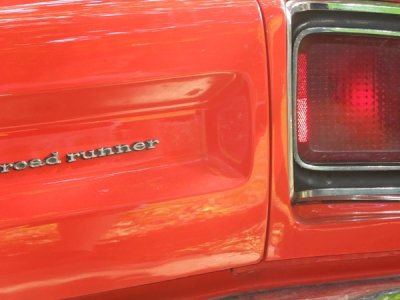 69 runnerDSCN2095114.JPG