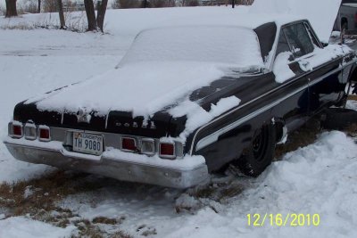 polara ext.jpg