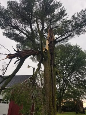 20180628_130418.jpg 20180628_130418.jpg