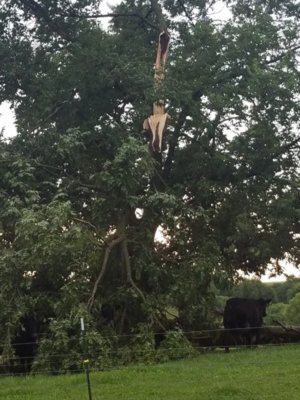 20180628_133857.jpg 20180628_133857.jpg