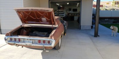 71 Rear.jpg 71 Rear.jpg