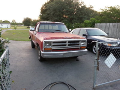 d100-1.jpg d100-1.jpg