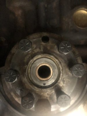 5CF561FA-073F-4CC1-9470-3FC8579EDCC1.jpeg 5CF561FA-073F-4CC1-9470-3FC8579EDCC1.jpeg