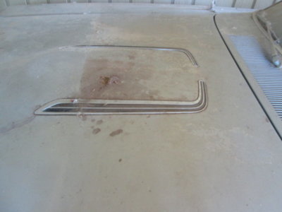 IMG_0666.JPG IMG_0666.JPG