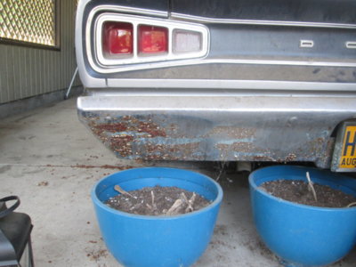 IMG_0675.JPG IMG_0675.JPG