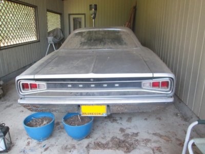 IMG_0682.JPG IMG_0682.JPG