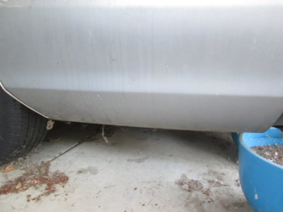 IMG_0695.JPG IMG_0695.JPG