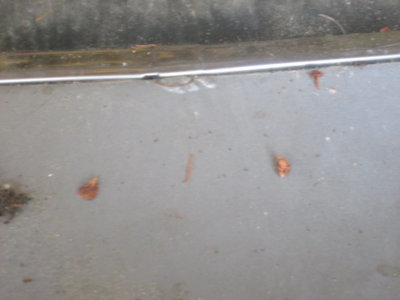 IMG_0699.JPG IMG_0699.JPG