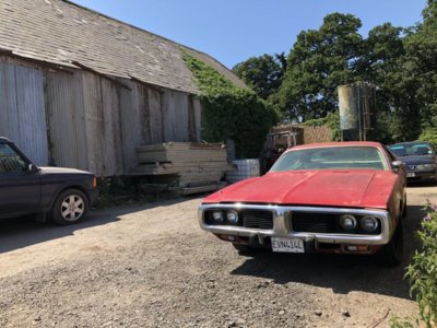 138F6297-8084-45A8-A1A5-4D3B3057AF00.jpeg 138F6297-8084-45A8-A1A5-4D3B3057AF00.jpeg