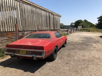 4B651916-E491-4F06-AB80-61E8E3ADCB40.jpeg 4B651916-E491-4F06-AB80-61E8E3ADCB40.jpeg